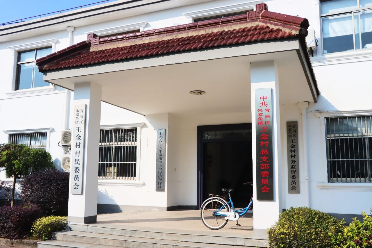 “与‘社’同行，健康相伴，温暖民心”——上海仁博医院社区公益服务第五场：朱家角王金村(图12)